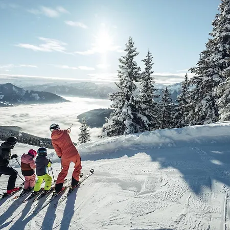 Frieda Mit Zell Am See-kaprun Summer Card Целль-ам-Зе
